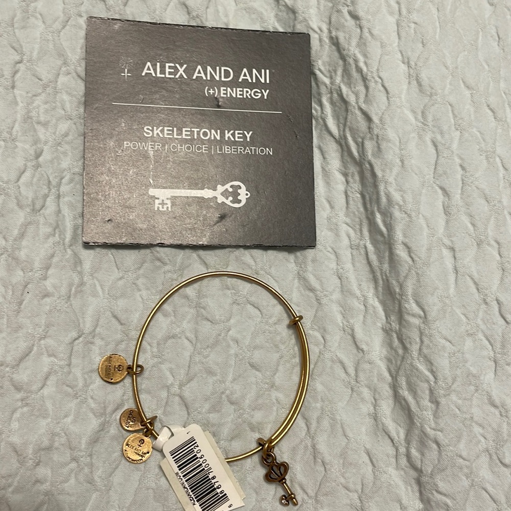 Alex and Ani skeleton key bracelet NWT